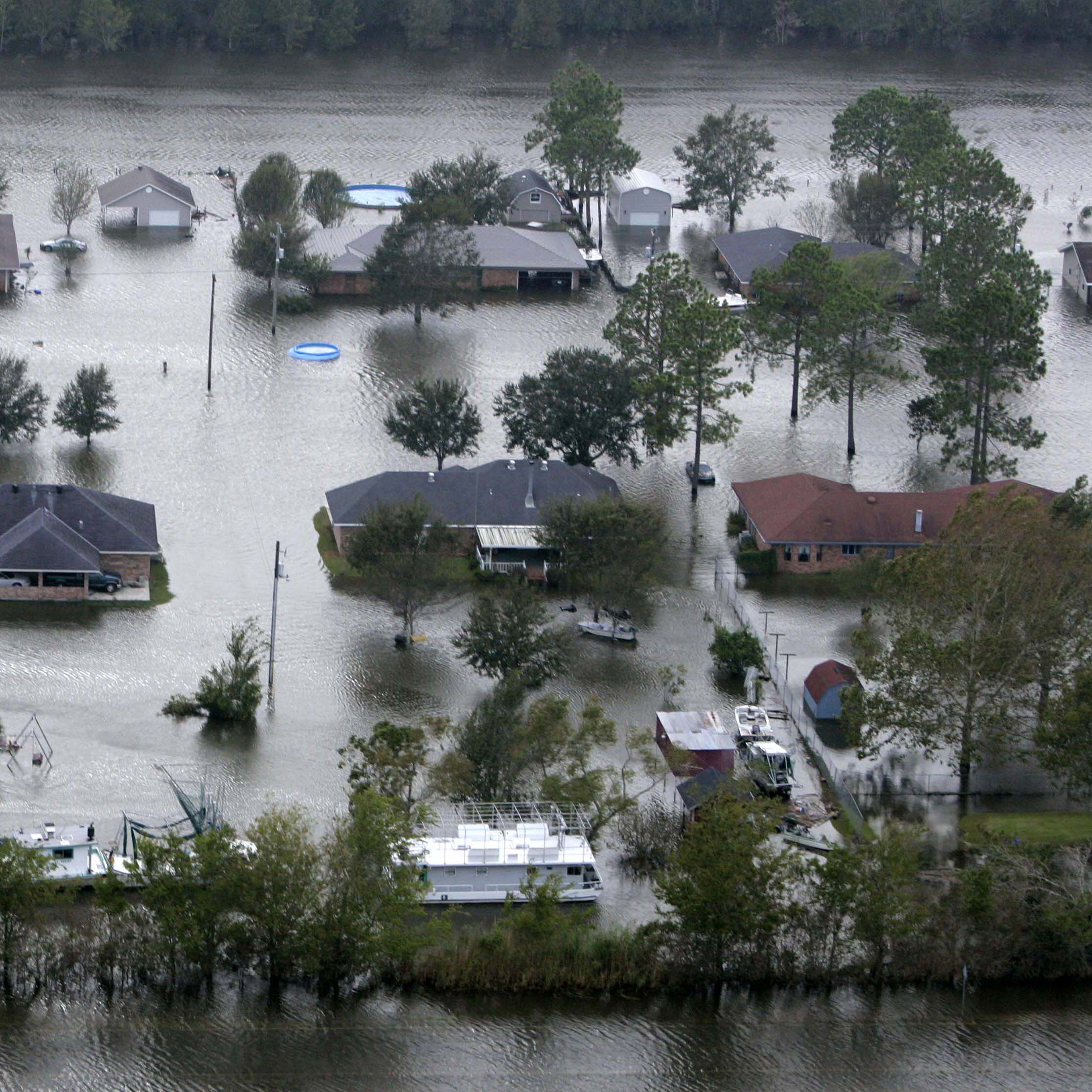 Informational Determinants of Large-area Hurricane Evacuations | John Glenn