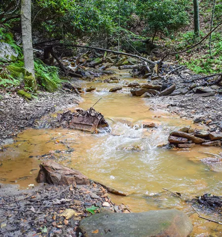 a stream running through a wooded area